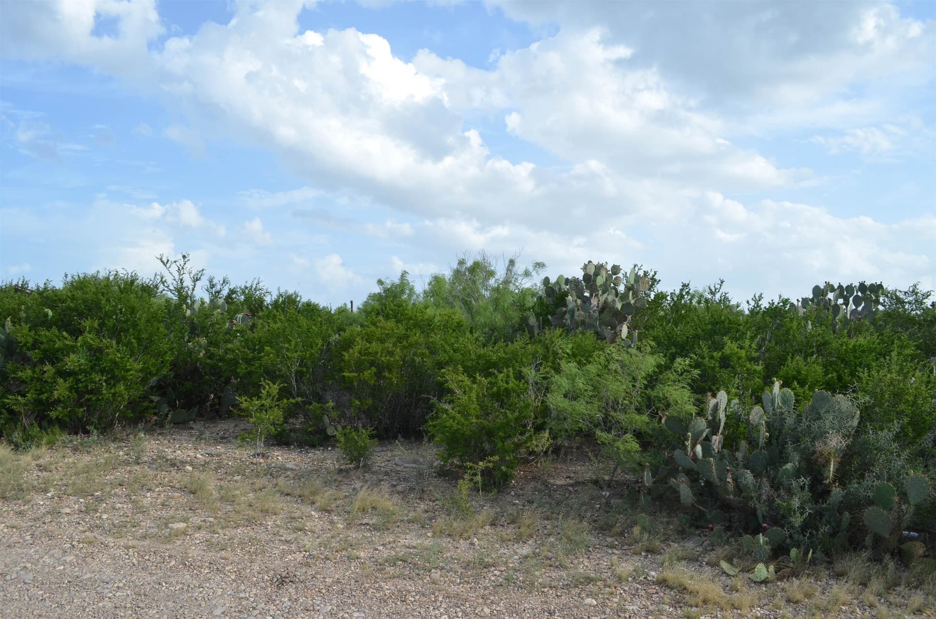 0.97 acres in USA County