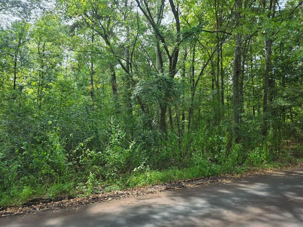 0.57 acres in Texas County