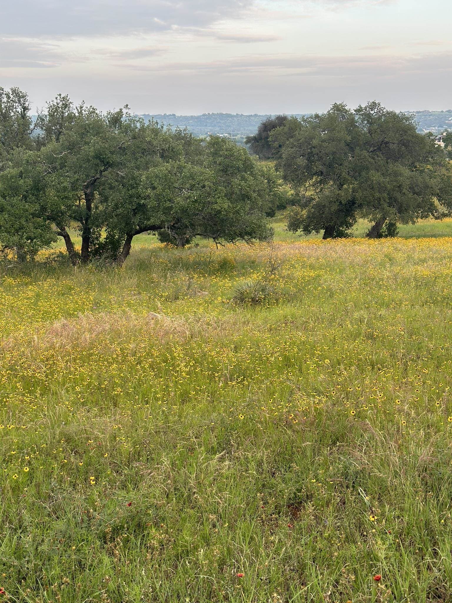 0.33 acres in Llano County