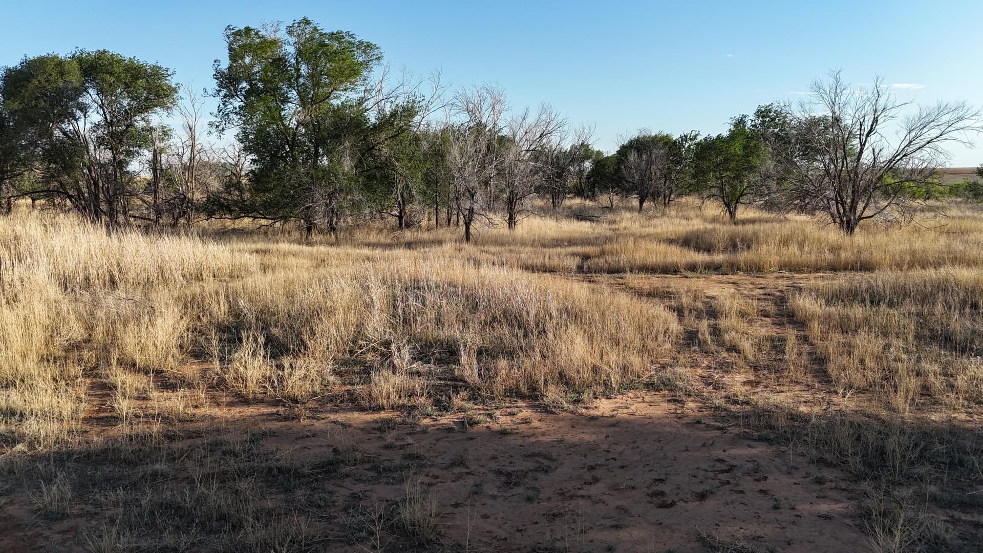 29.87 acres in Lubbock County