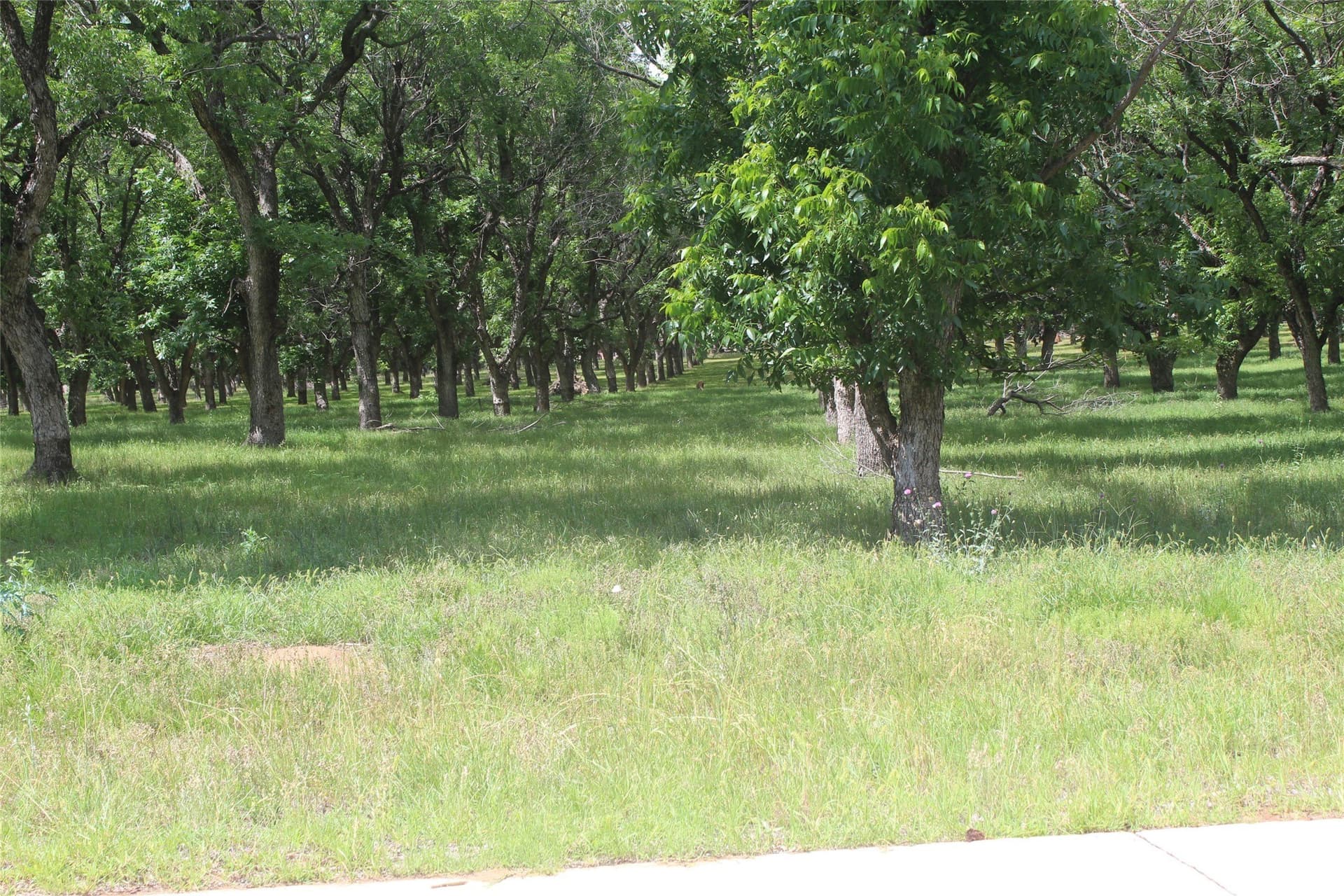 3.01 acres in Johnson County