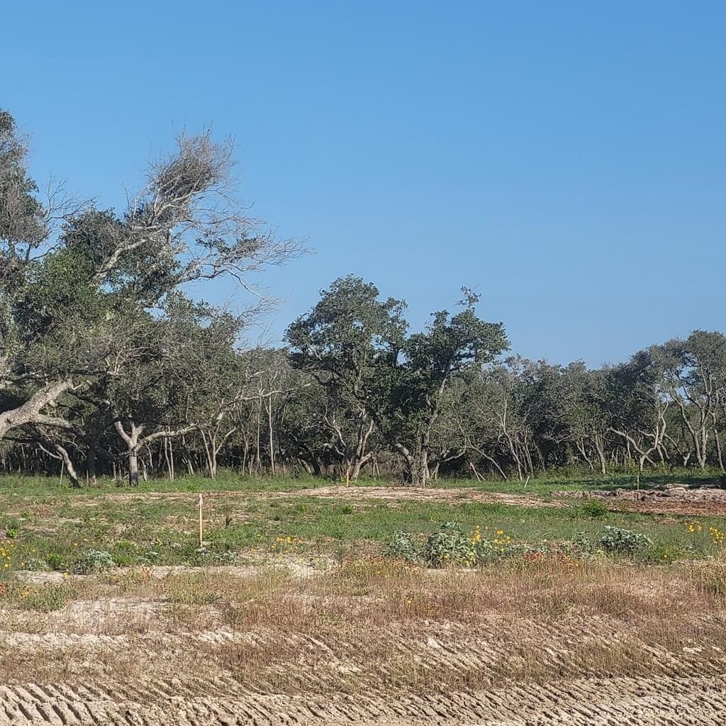 0.11 acres in Texas County