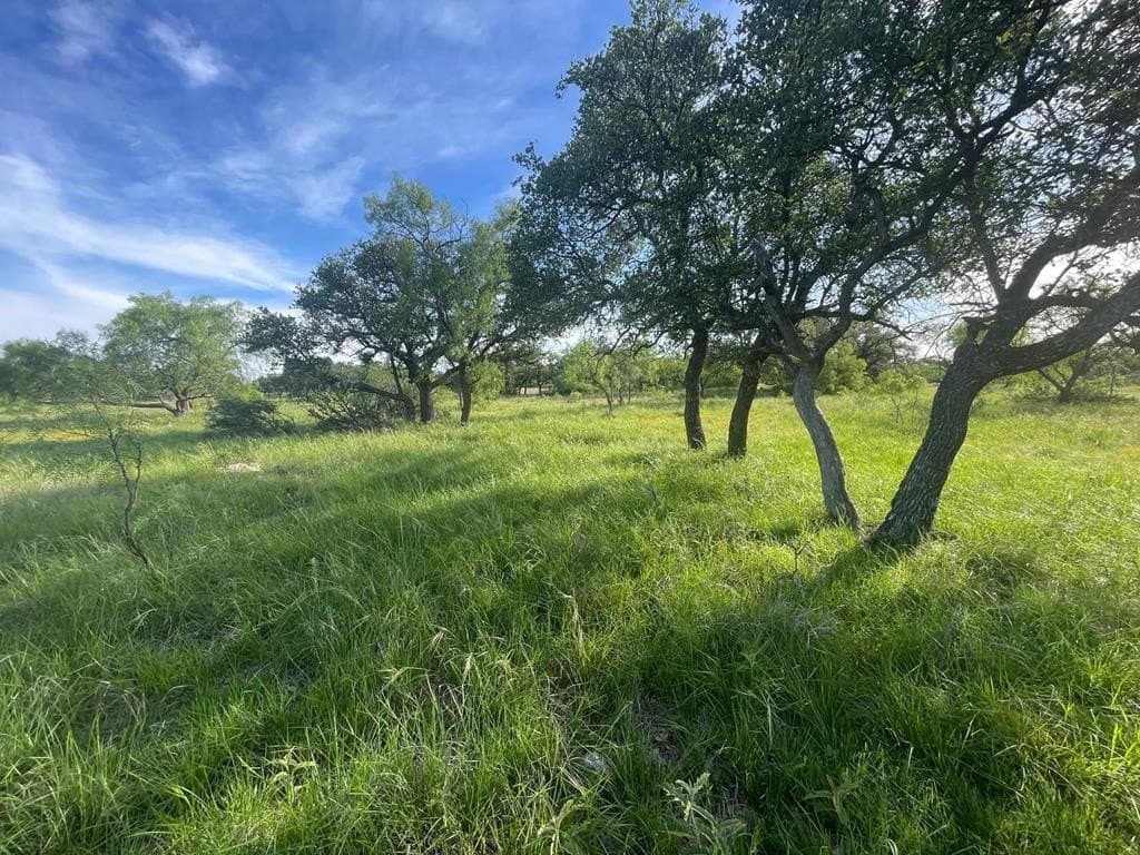 100 acres in Schleicher County