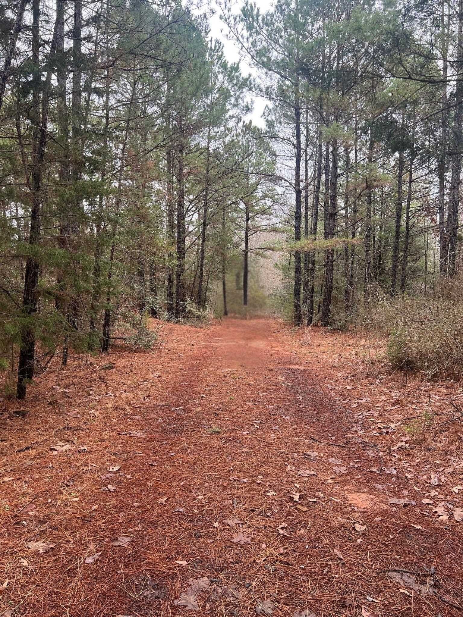 33.5 acres in Rusk County