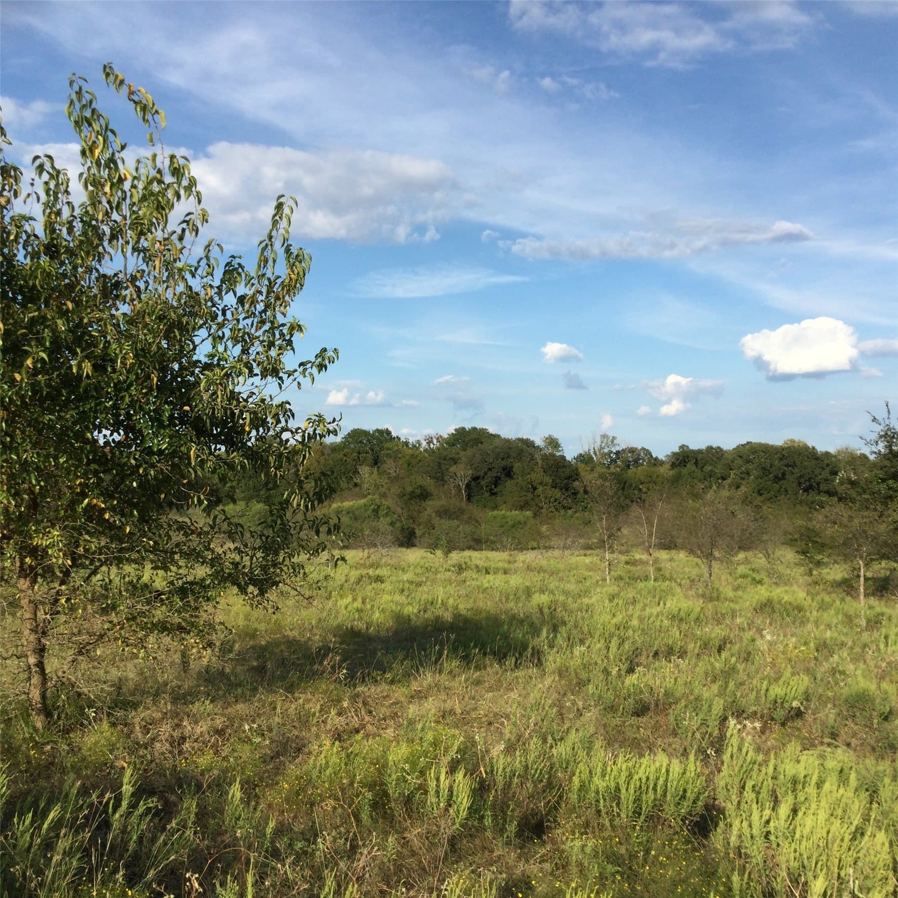 10.23 acres in Navarro County