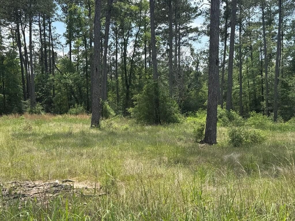 1.06 acres in Texas County
