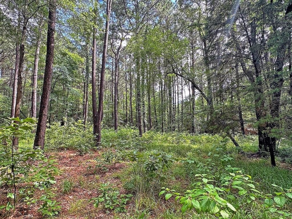 5.02 acres in Henderson County