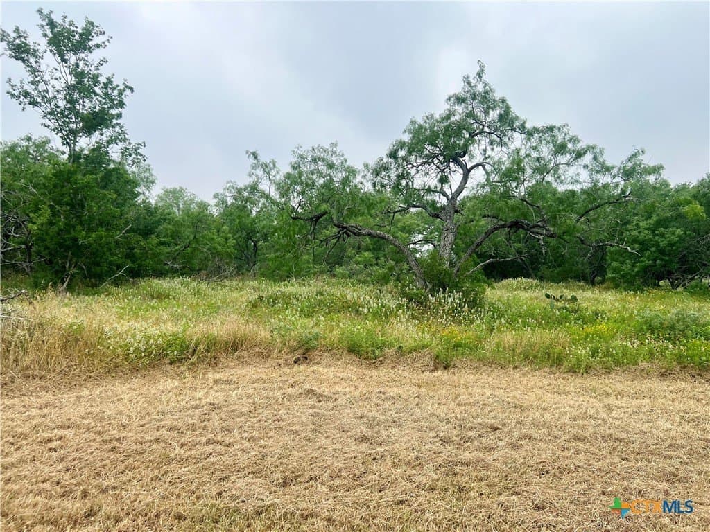 1 acres in Gonzales County