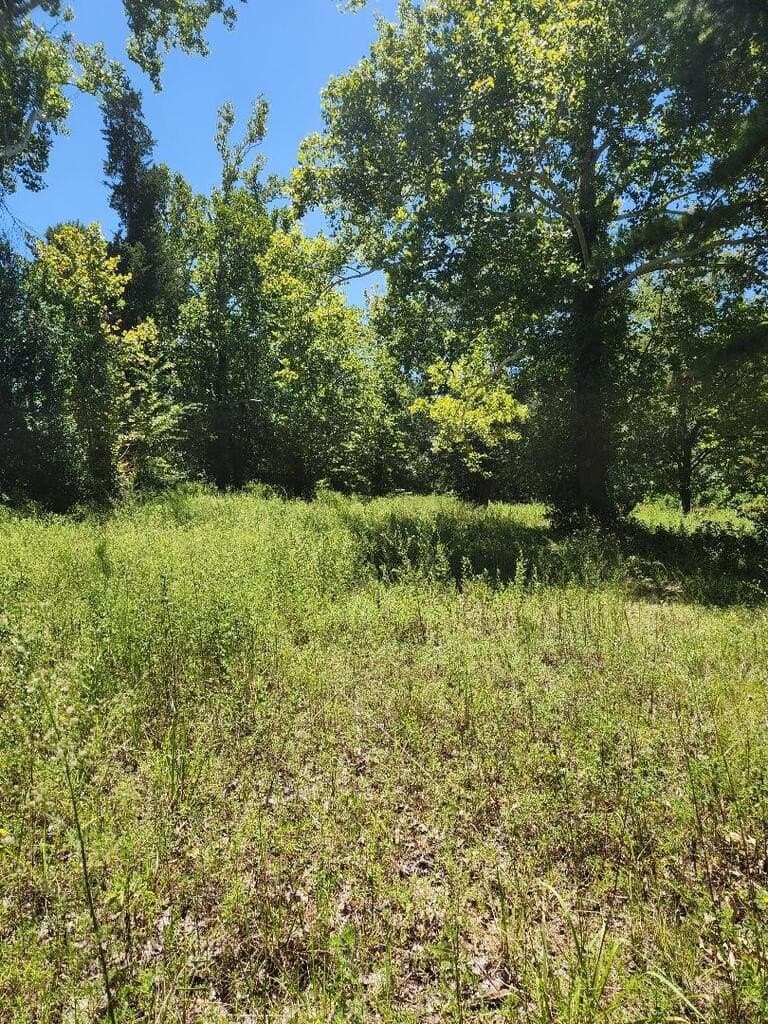 6 acres in Texas County