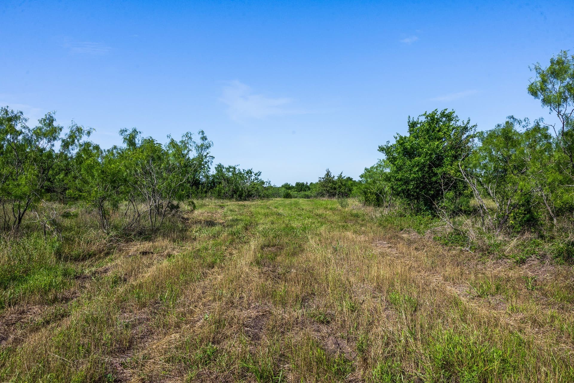 10 acres in Limestone County