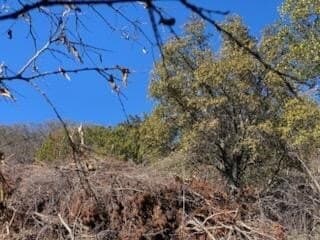 2.5 acres in Coleman County