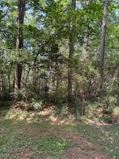 0.26 acres in Texas County