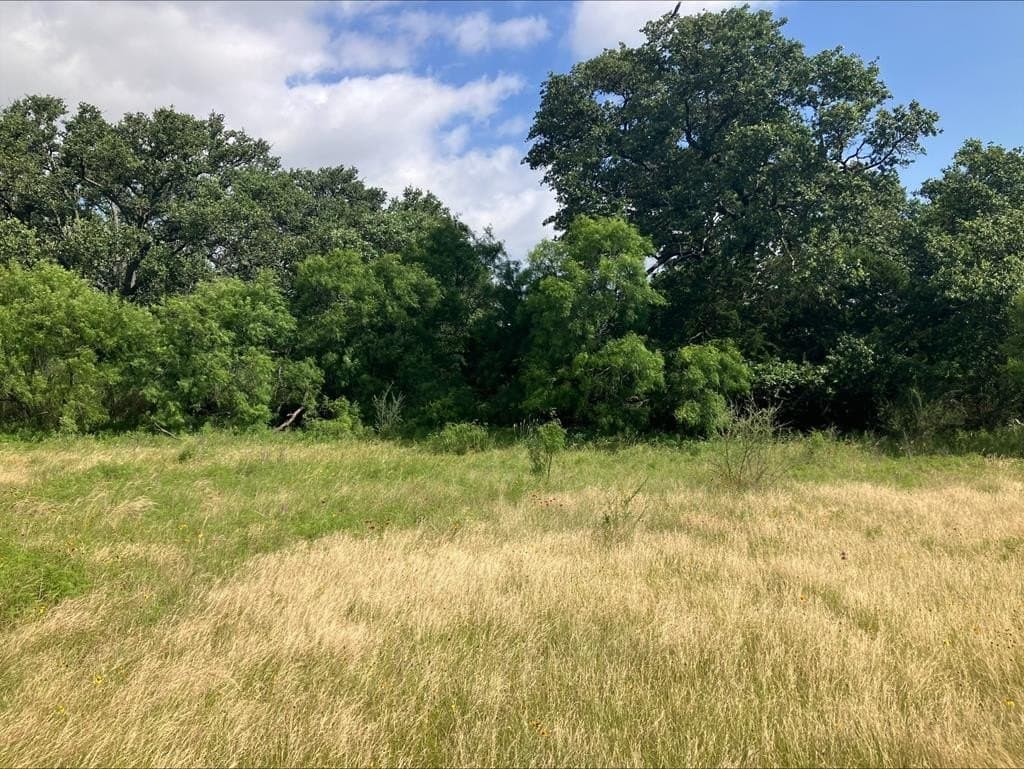 42.5 acres in Mason County