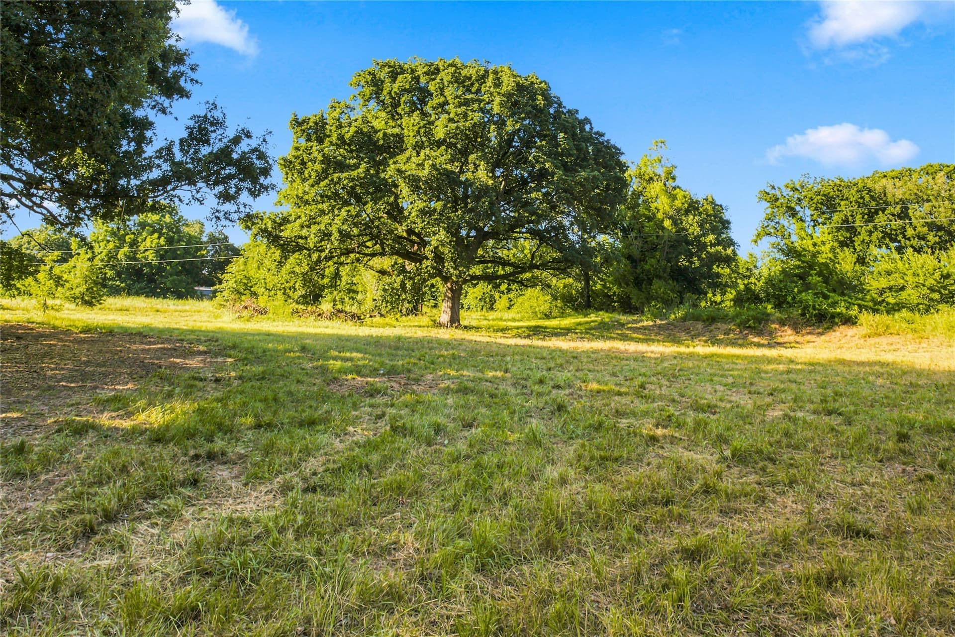 34 acres in Delta County