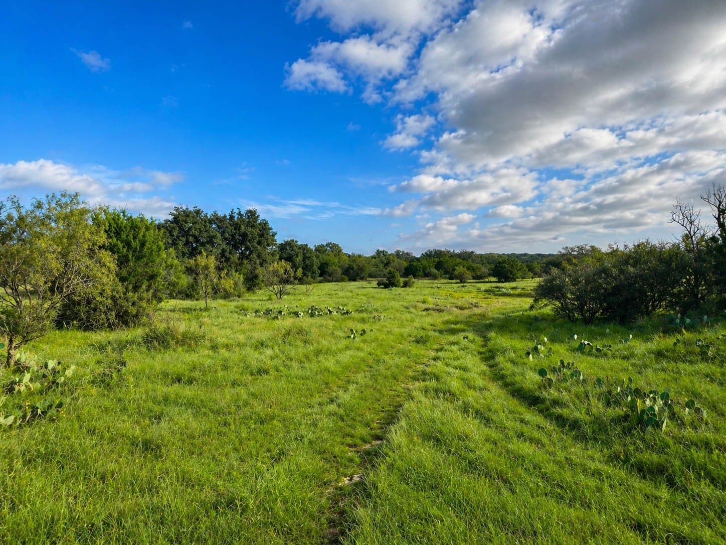400 acres in McCulloch County