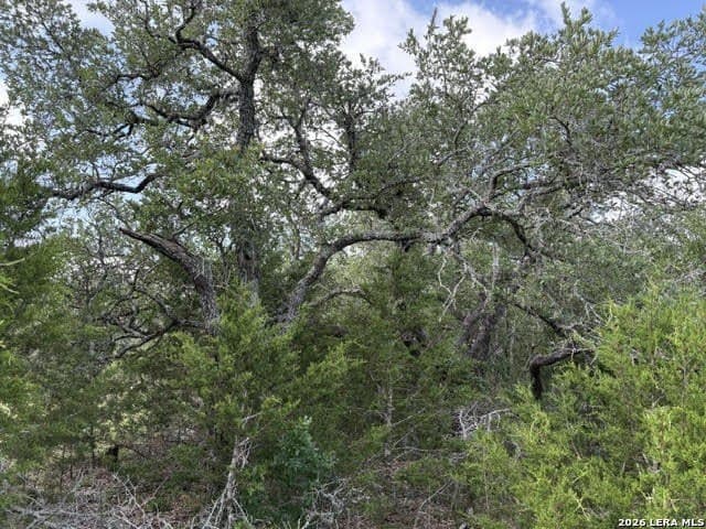 3 acres in Comal County