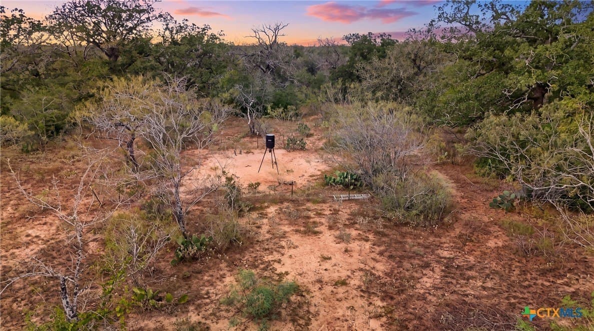 50 acres in Gonzales County