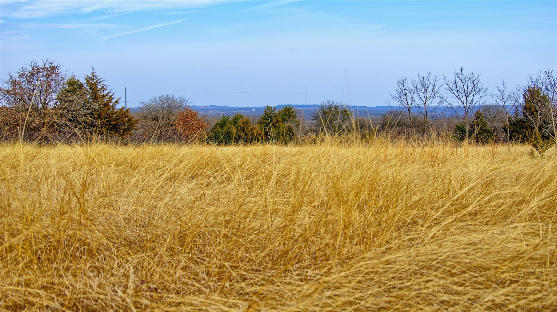 33.81 acres in Montague County