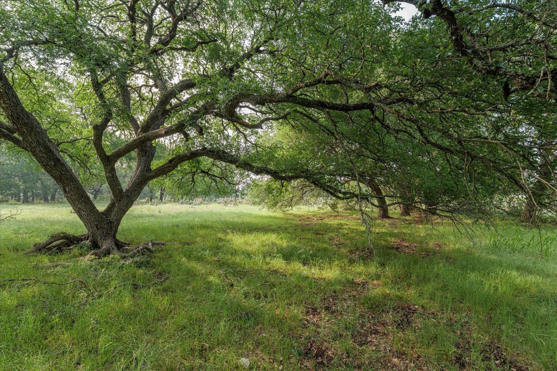 5.5 acres in Coryell County