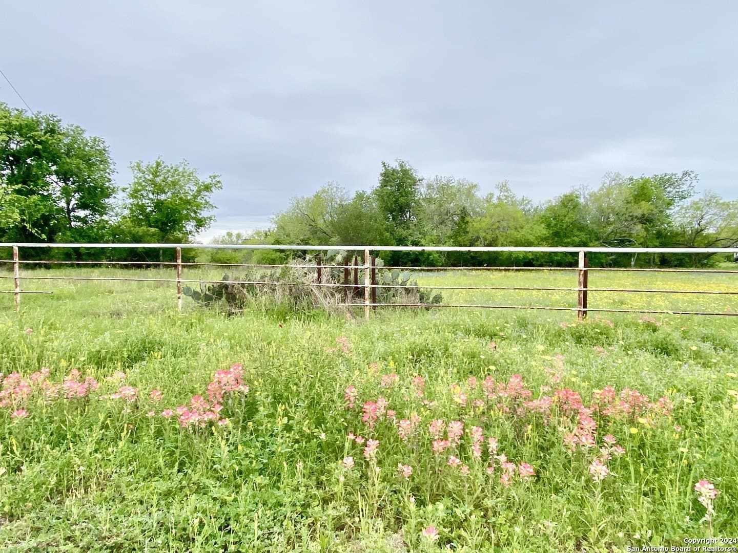 5 acres in Wilson County