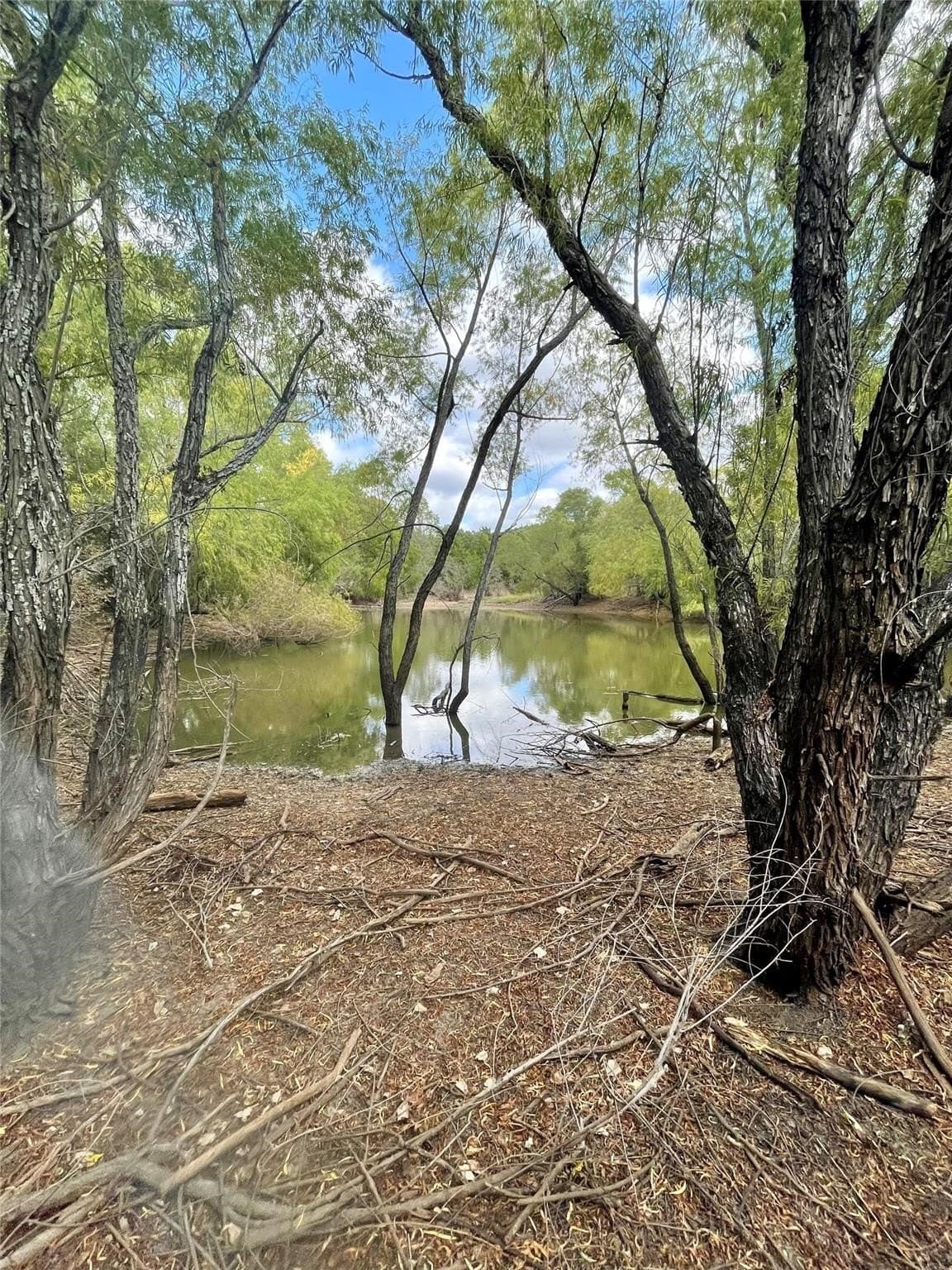 28.45 acres in Montague County