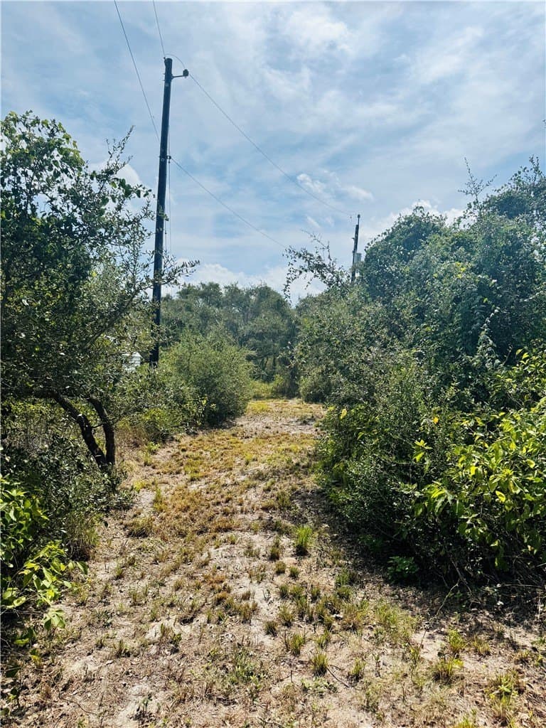 5 acres in San Patricio County