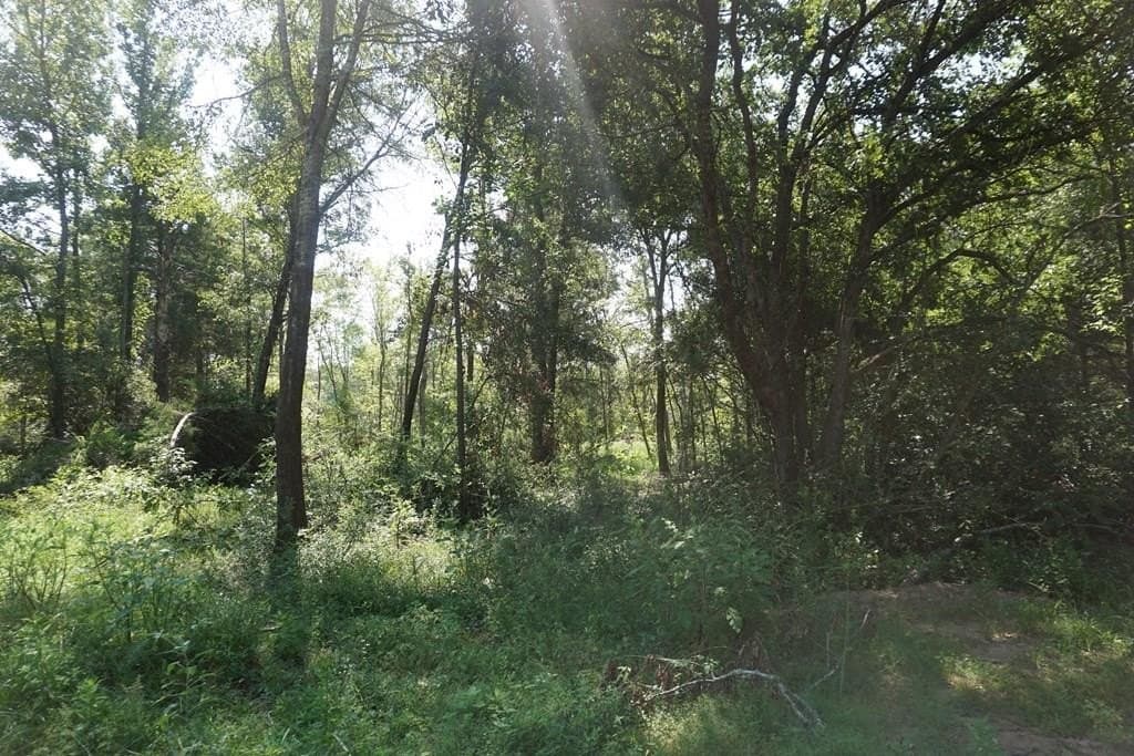 17 acres in LEON County