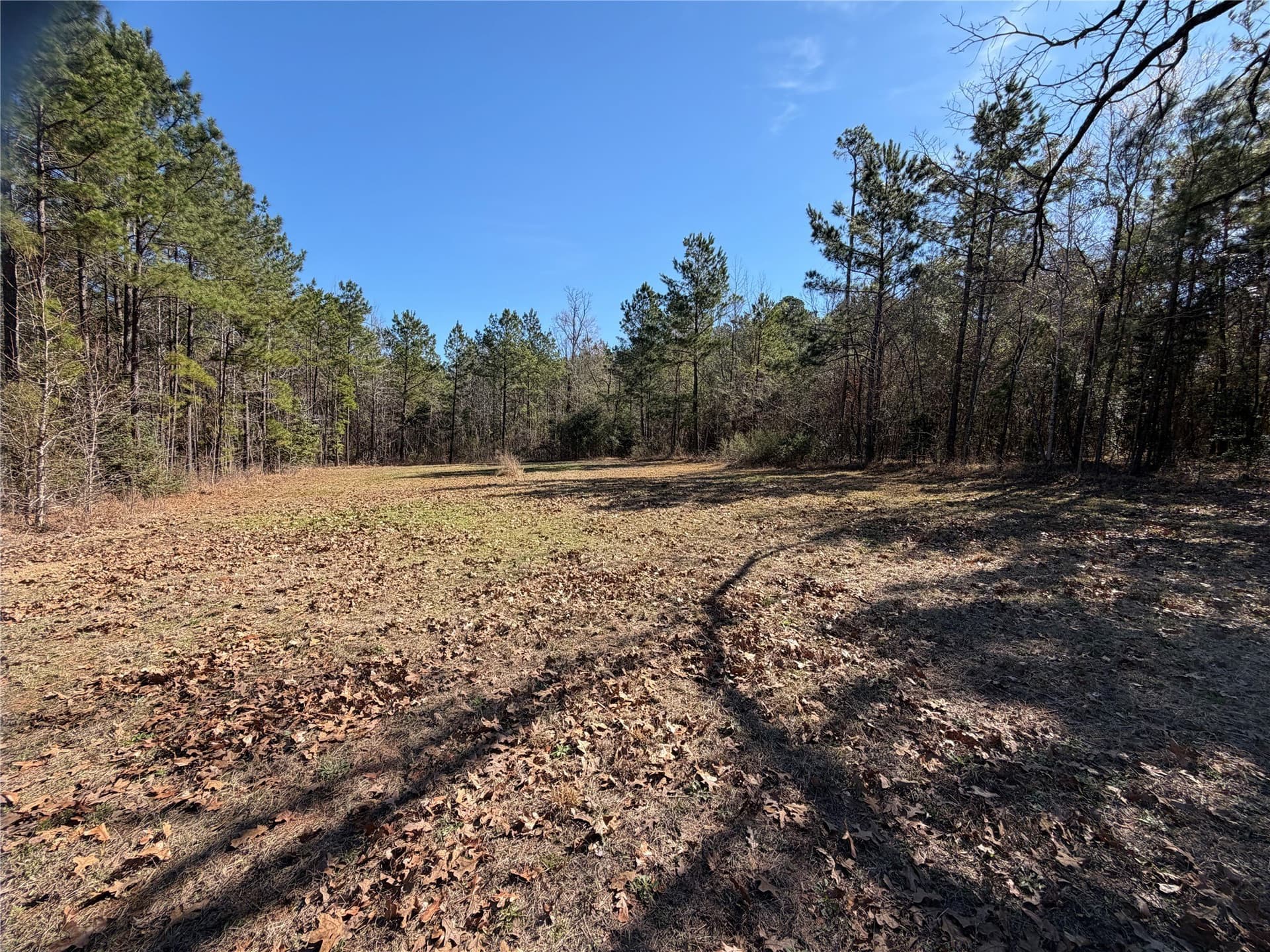 10 acres in Cherokee County
