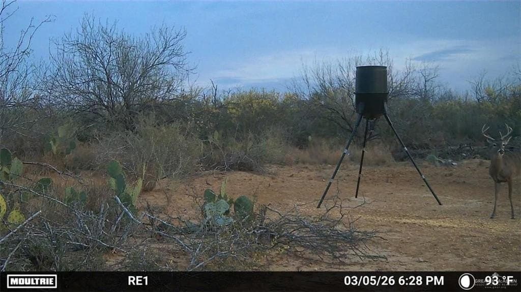 100 acres in Zapata County