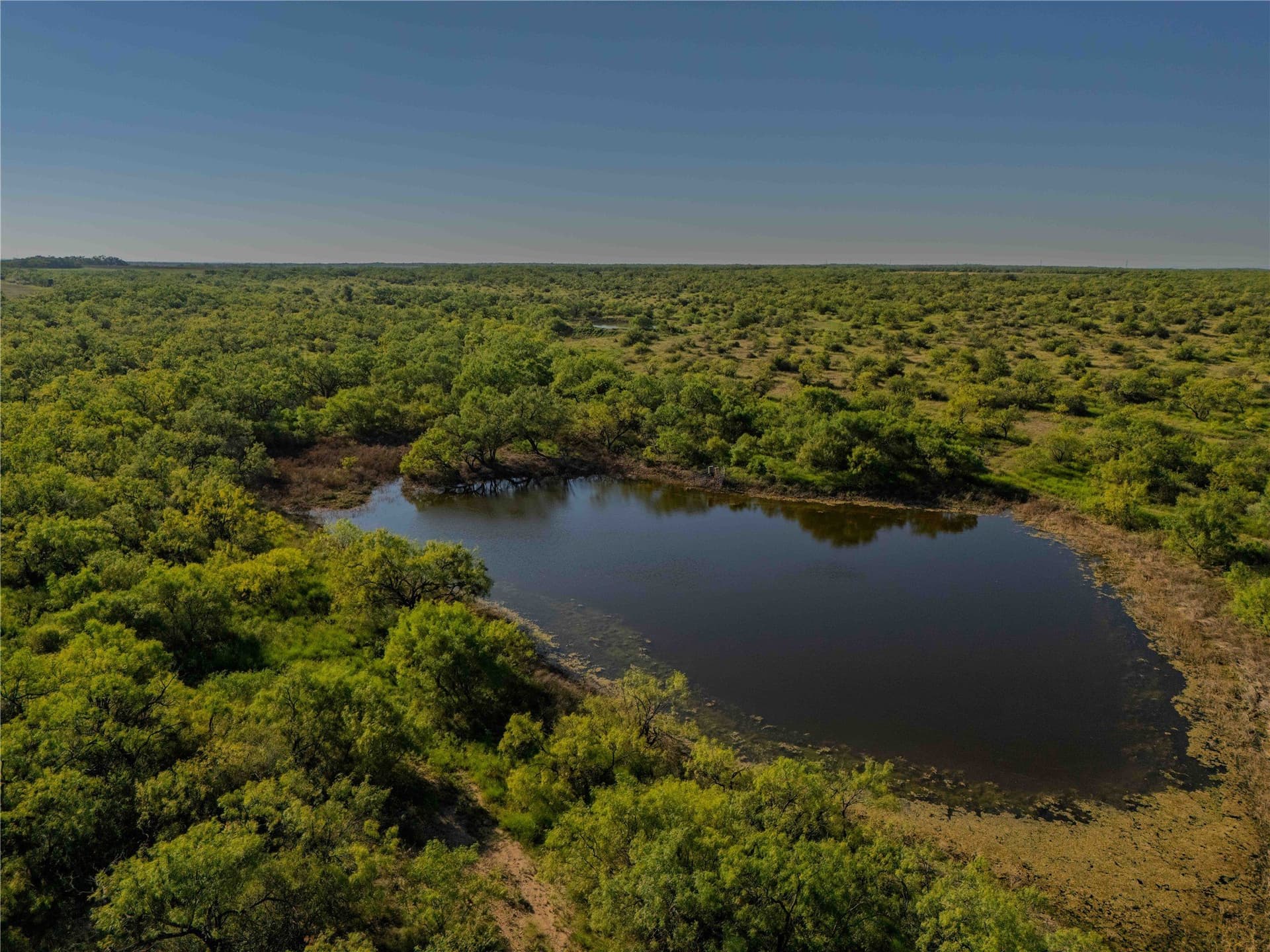 213.3 acres in Coleman County