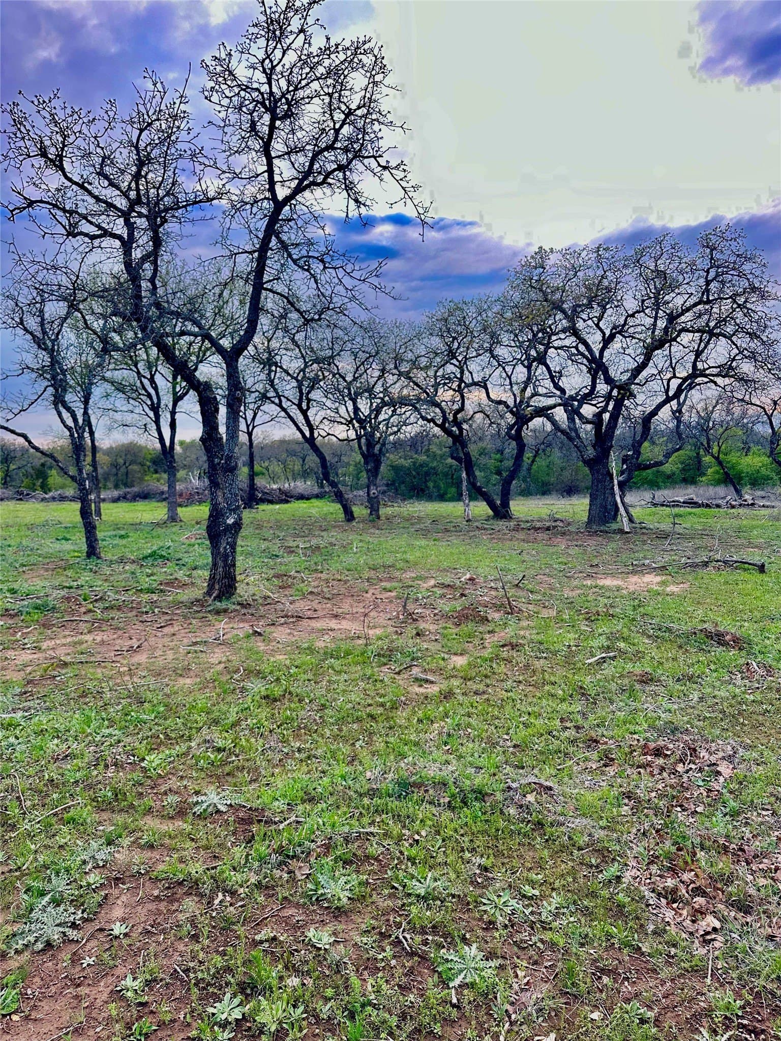 4.94 acres in Palo Pinto County