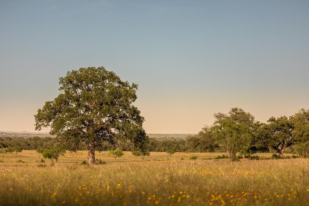 583 acres in Blanco County