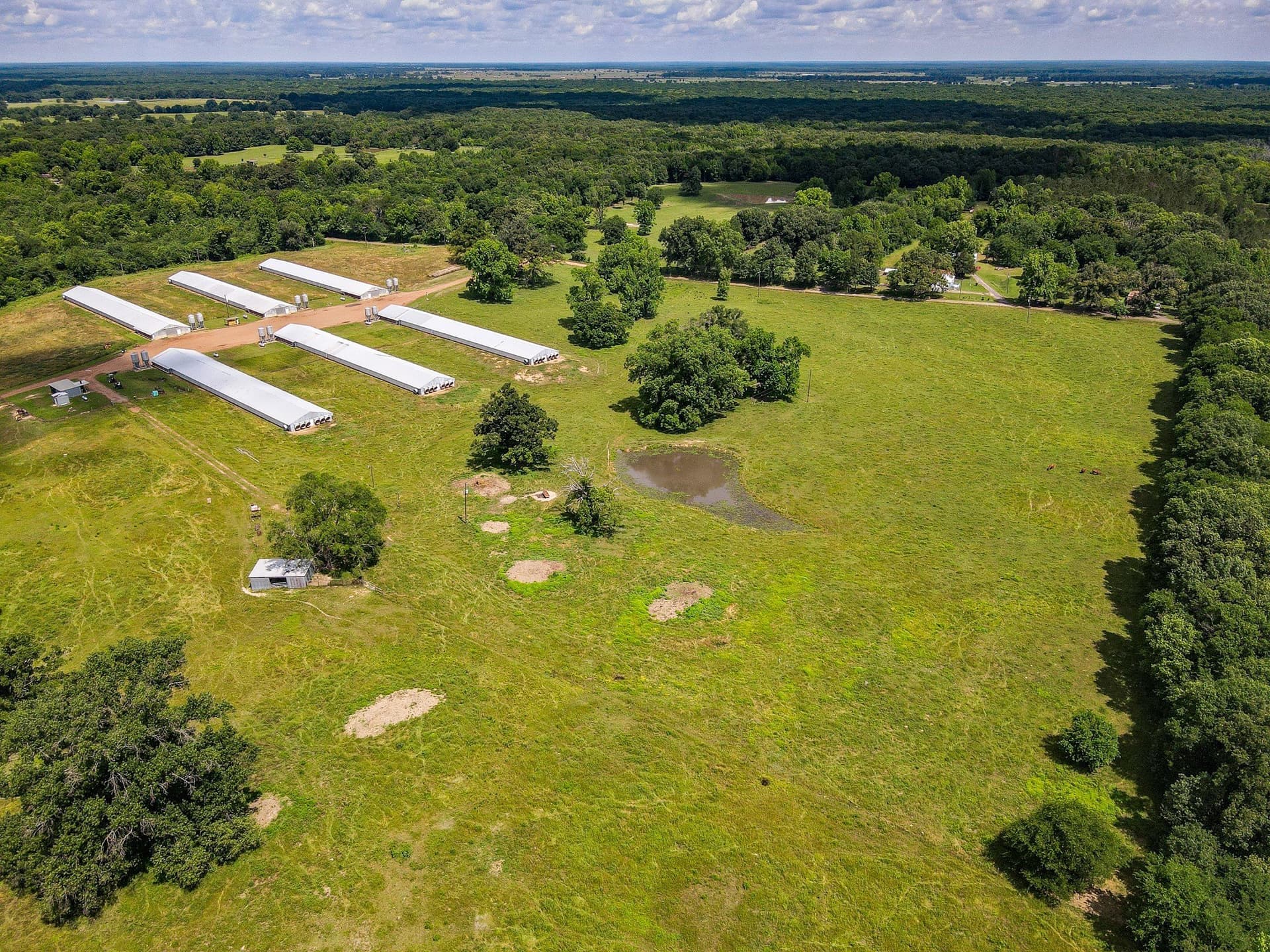 20 acres in Morris County