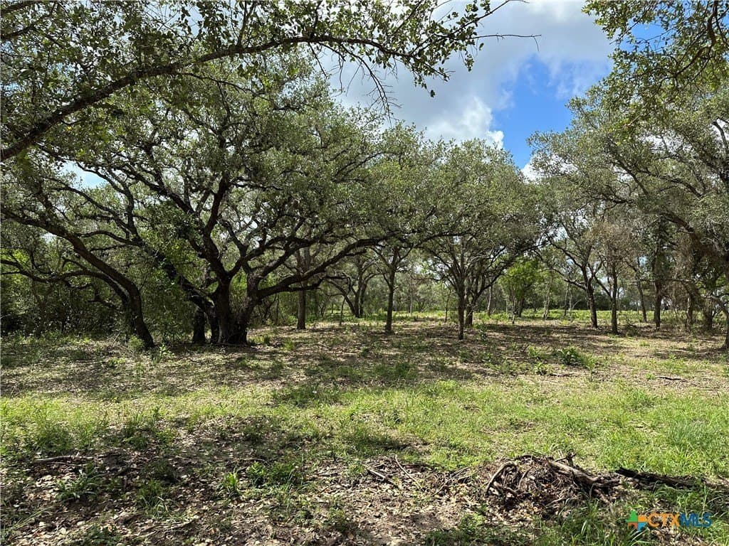 10.98 acres in Goliad County