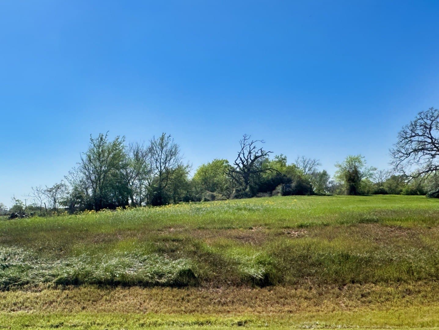 1 acres in Grimes County