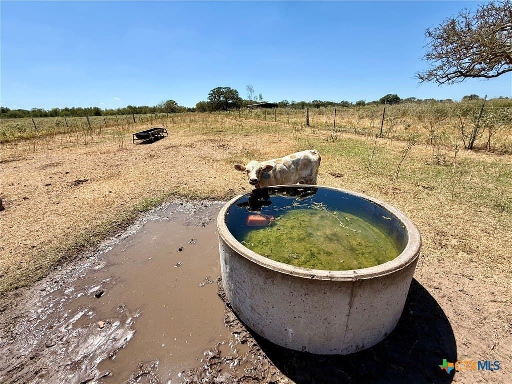 10.01 acres in Gonzales County