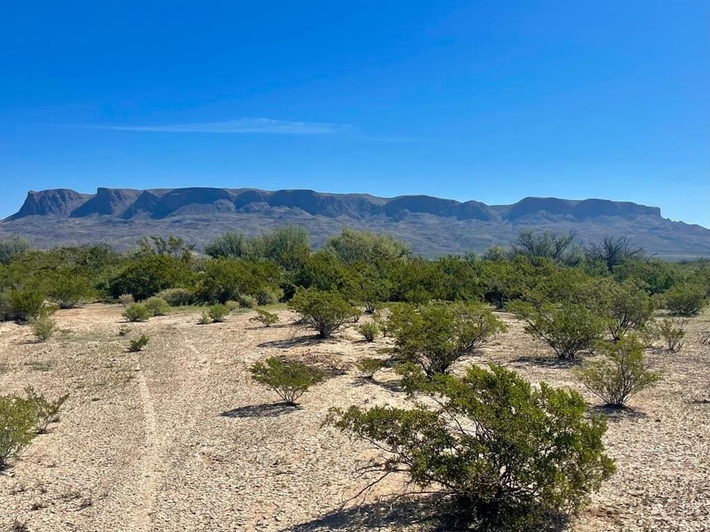 16 acres in Brewster County