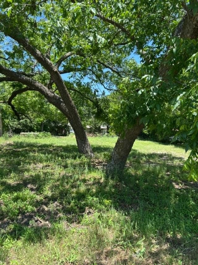 0.24 acres in Grayson County