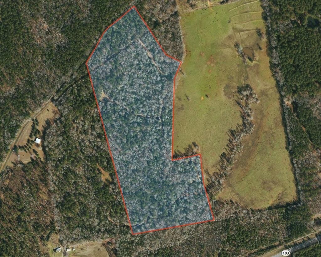 48.52 acres in Texas County