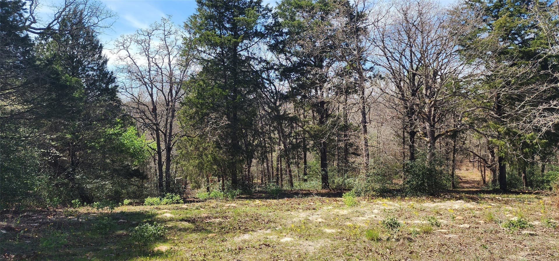 10 acres in Henderson County