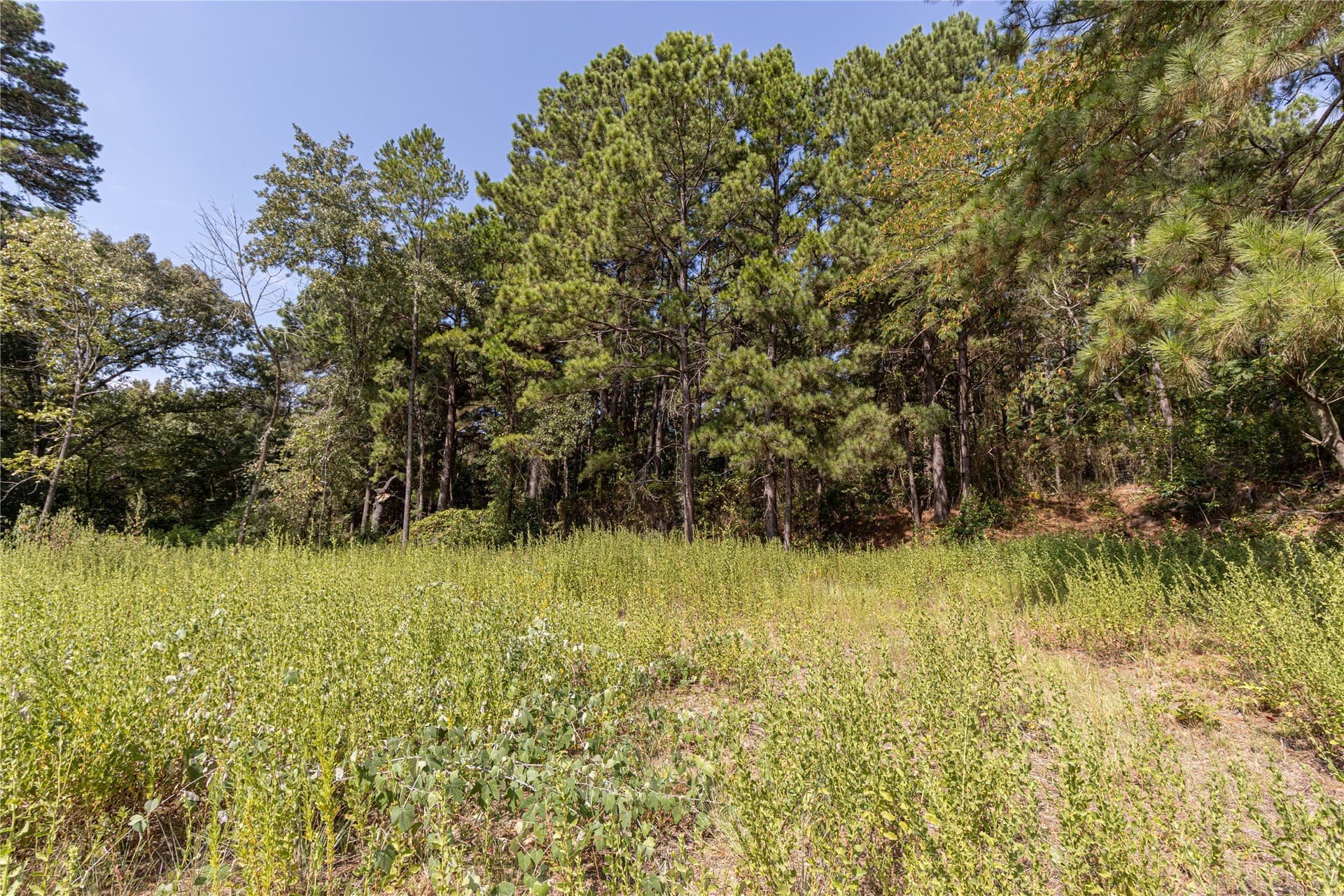 0.15 acres in Henderson County