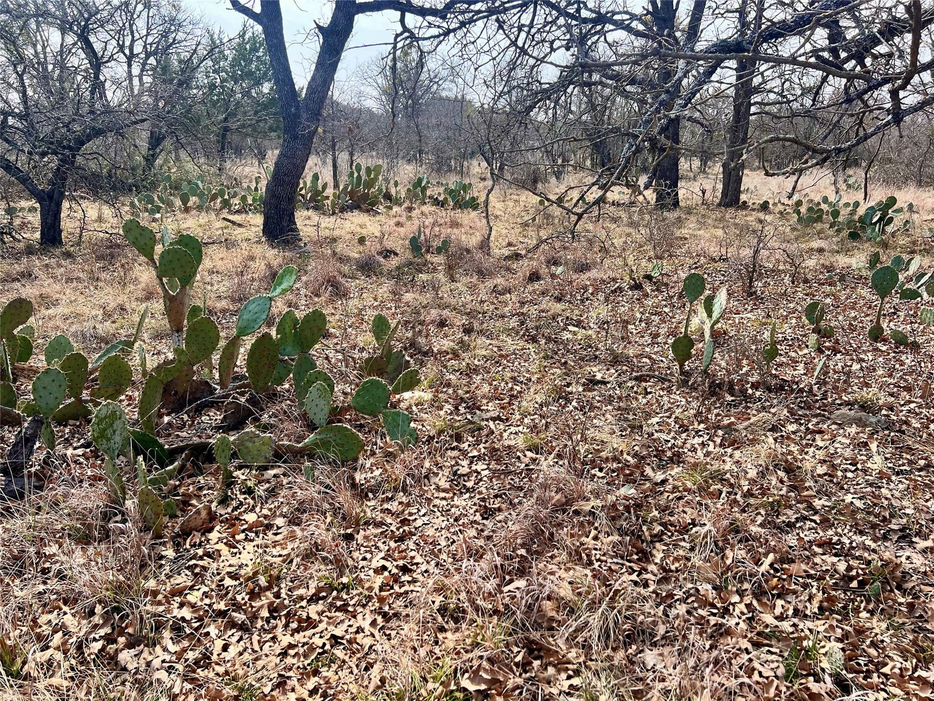 0.16 acres in Brown County