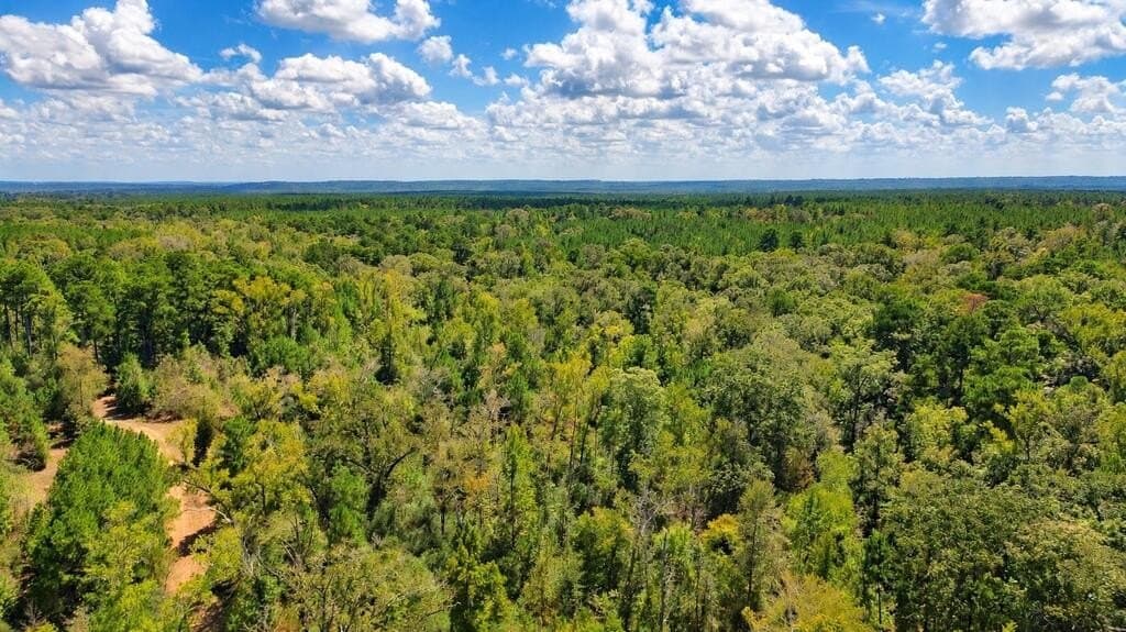 51.13 acres in Texas County