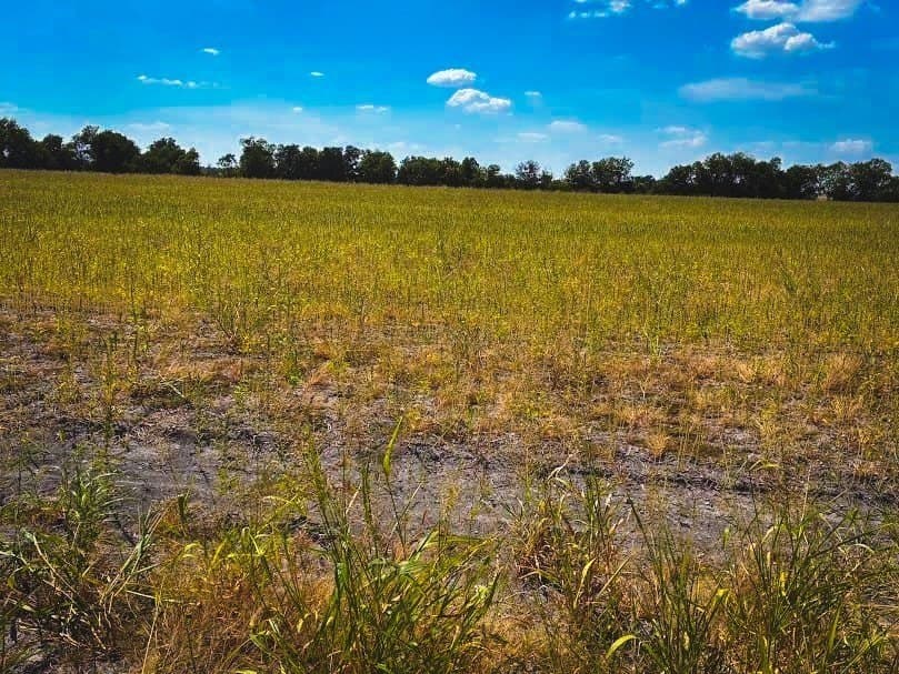 10.01 acres in Milam County