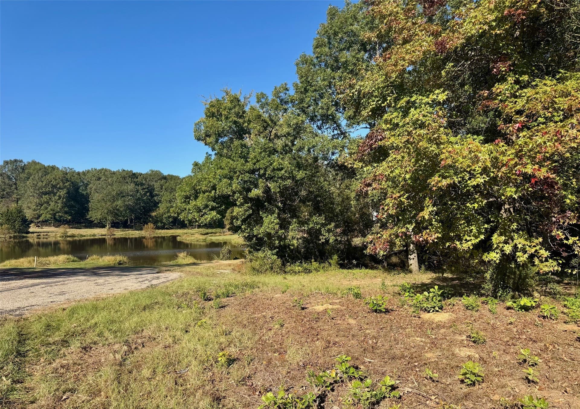 1.03 acres in Camp County