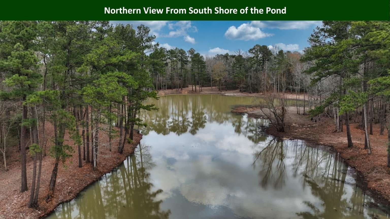 47.75 acres in Tyler County