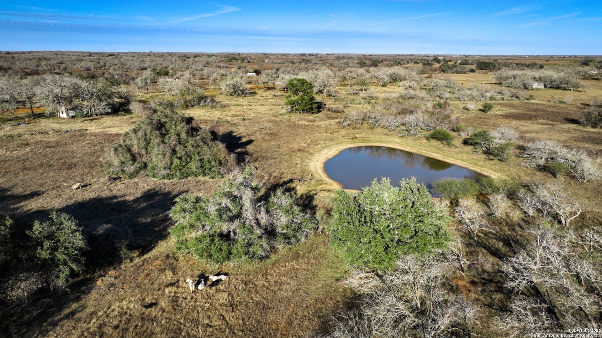 50 acres in Wilson County
