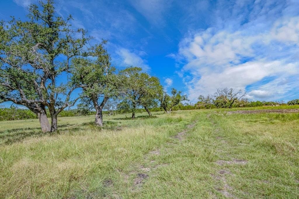 11.4 acres in Gillespie County