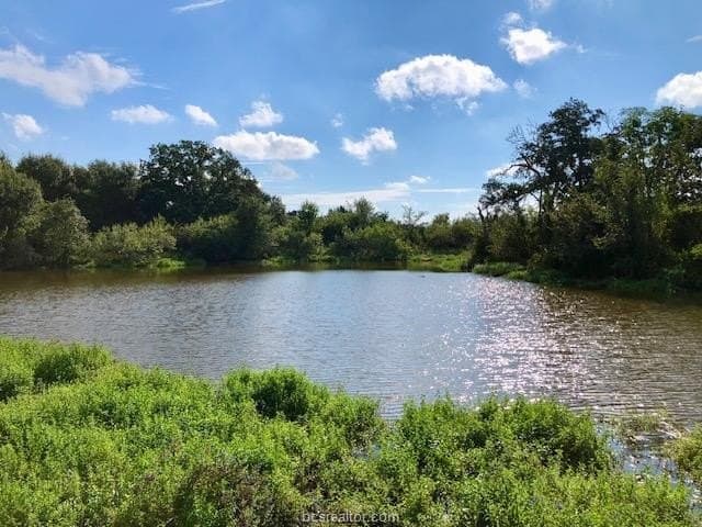 45.02 acres in Burleson County