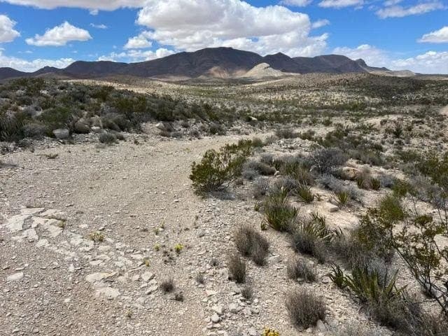 20 acres in Brewster County